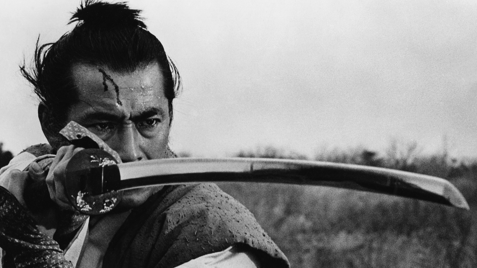 The Samurai Rebellions