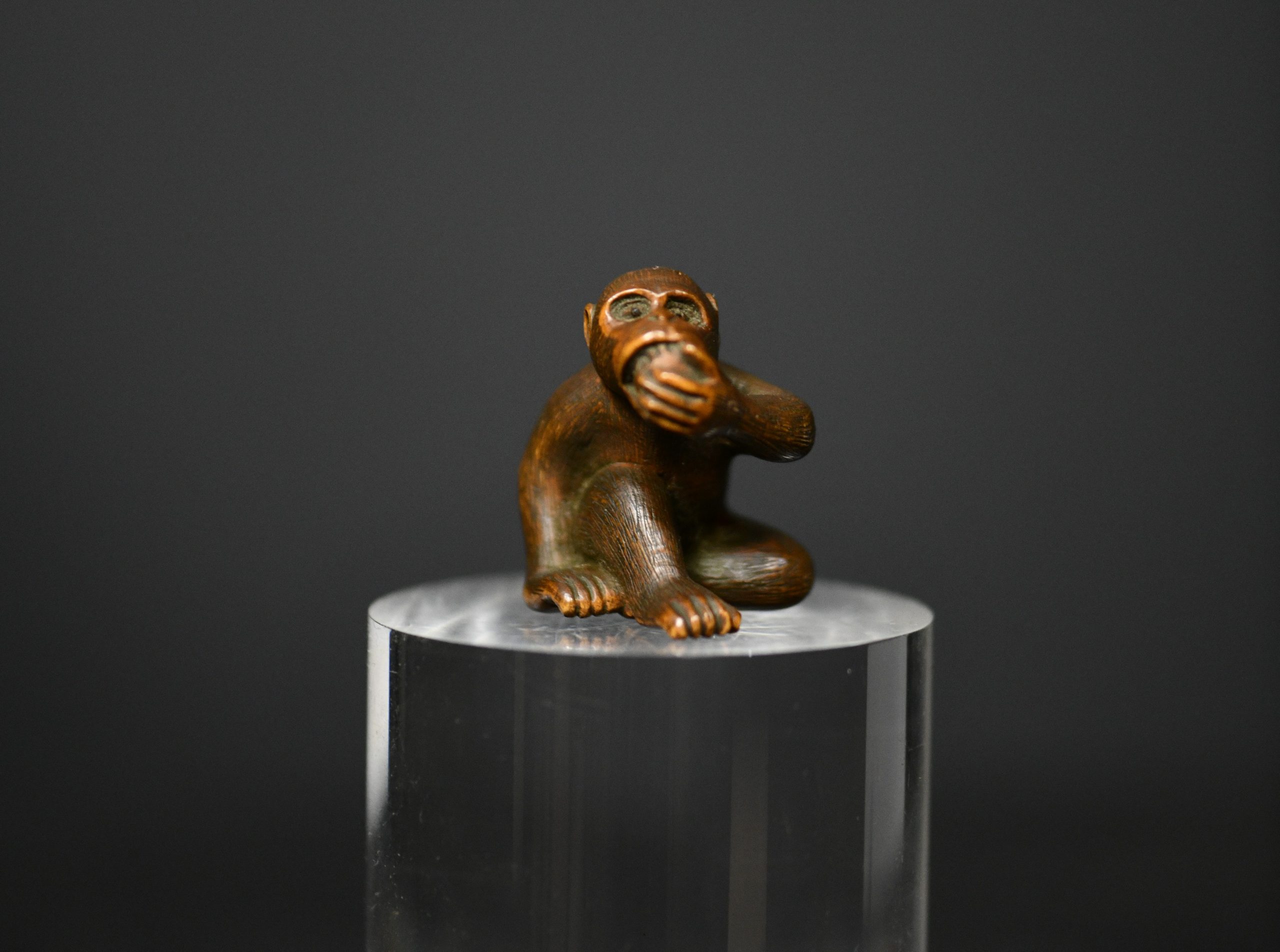 Monkey persimon 2 wood