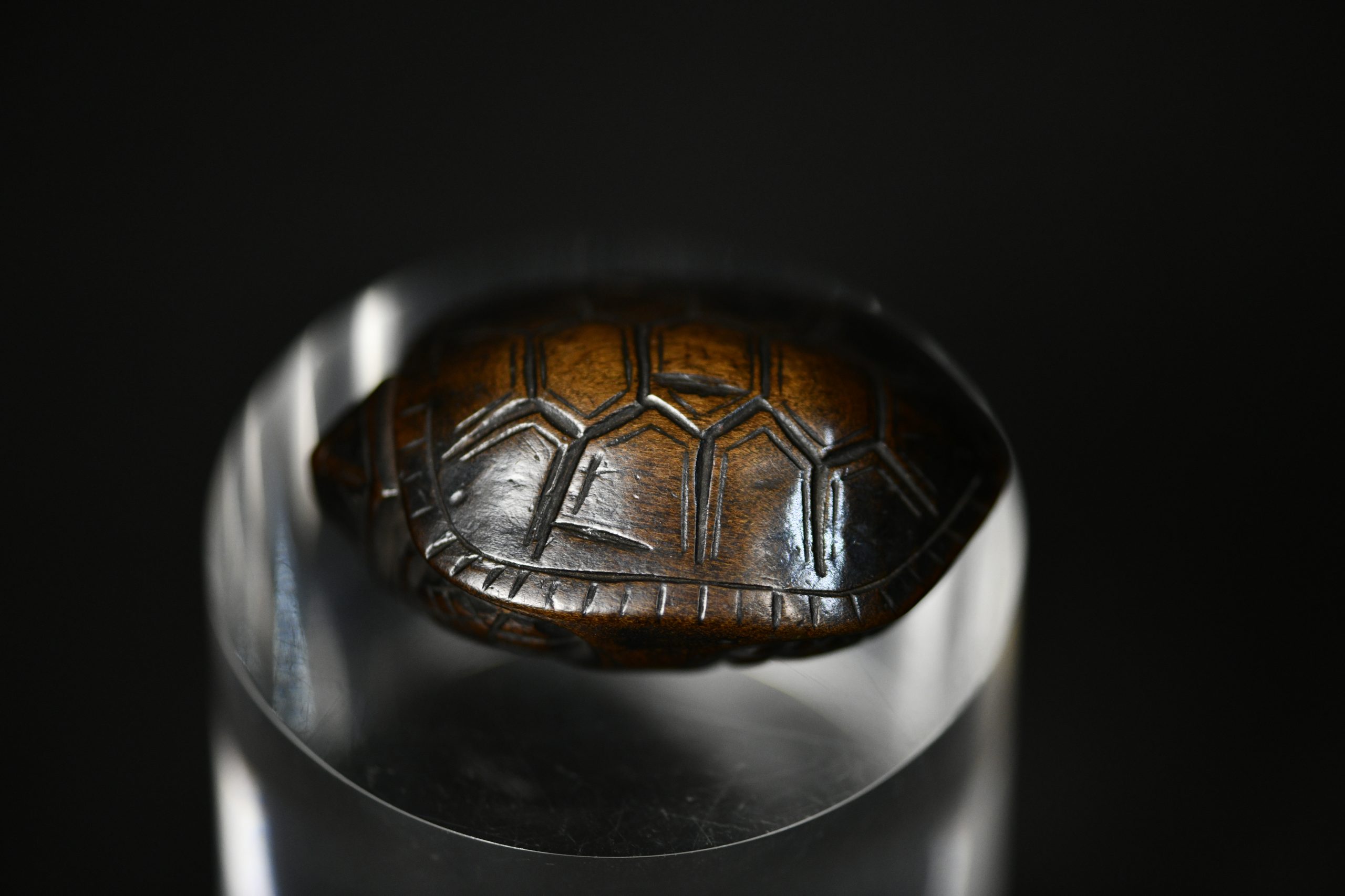 turtle wood netsuke