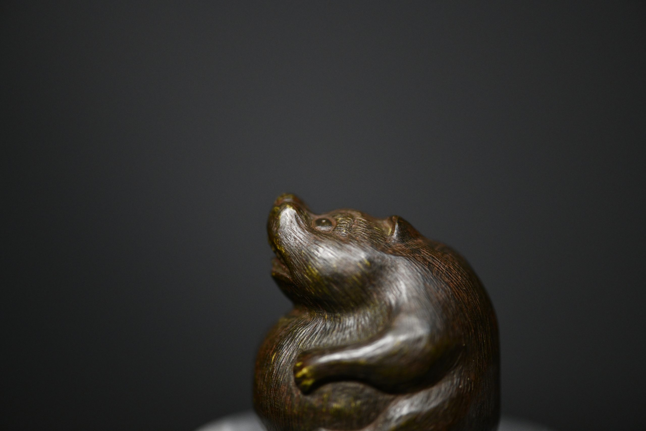 Tanuki netsuke wood