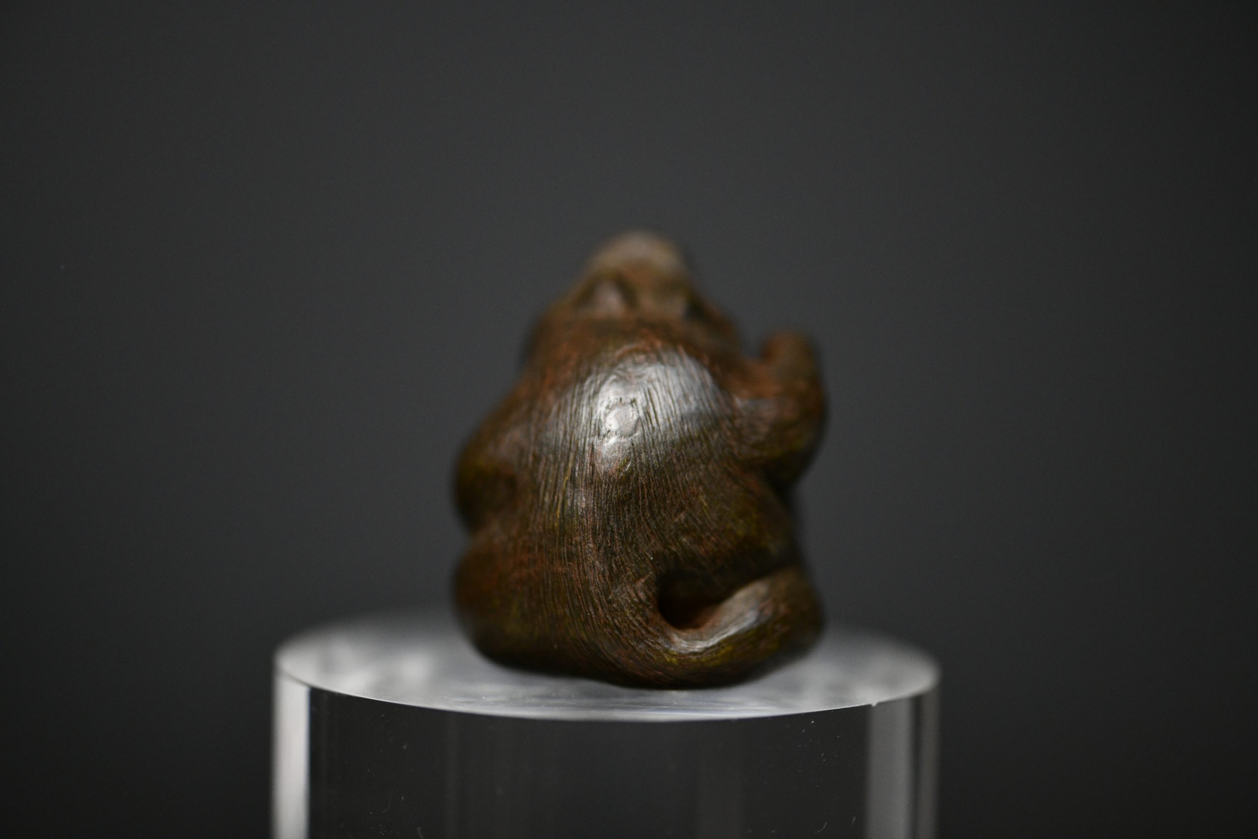 Tanuki netsuke wood