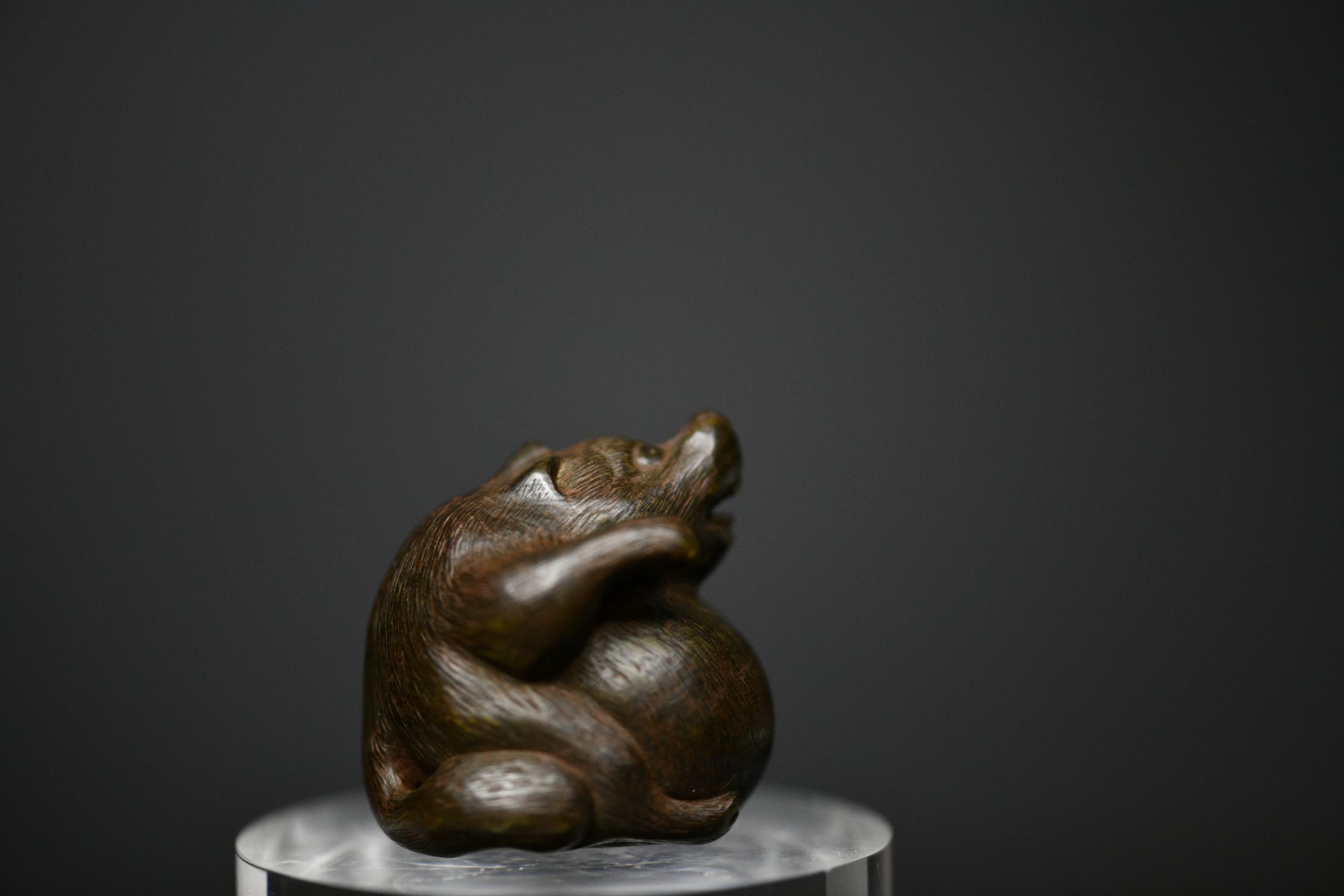 Tanuki netsuke wood