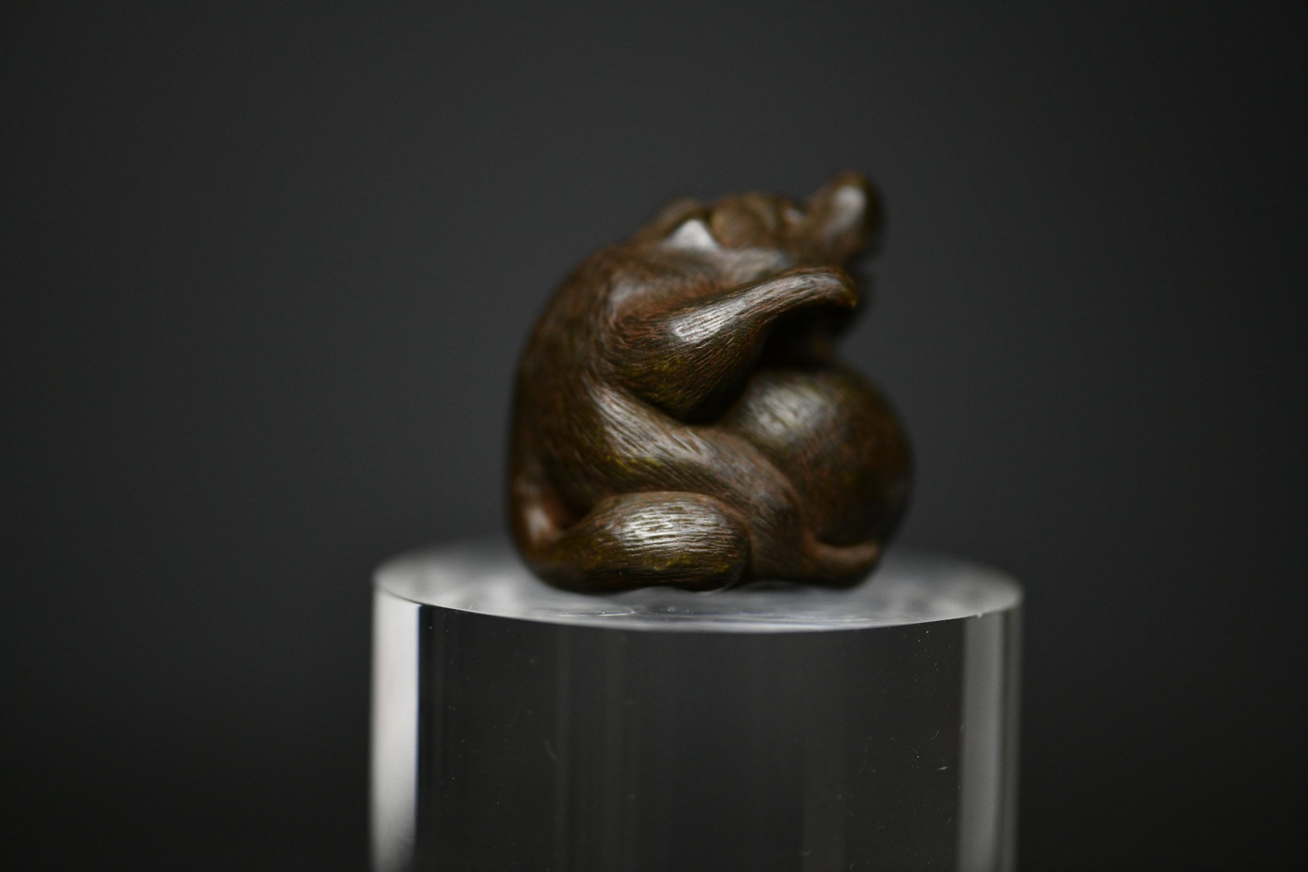 Tanuki netsuke wood