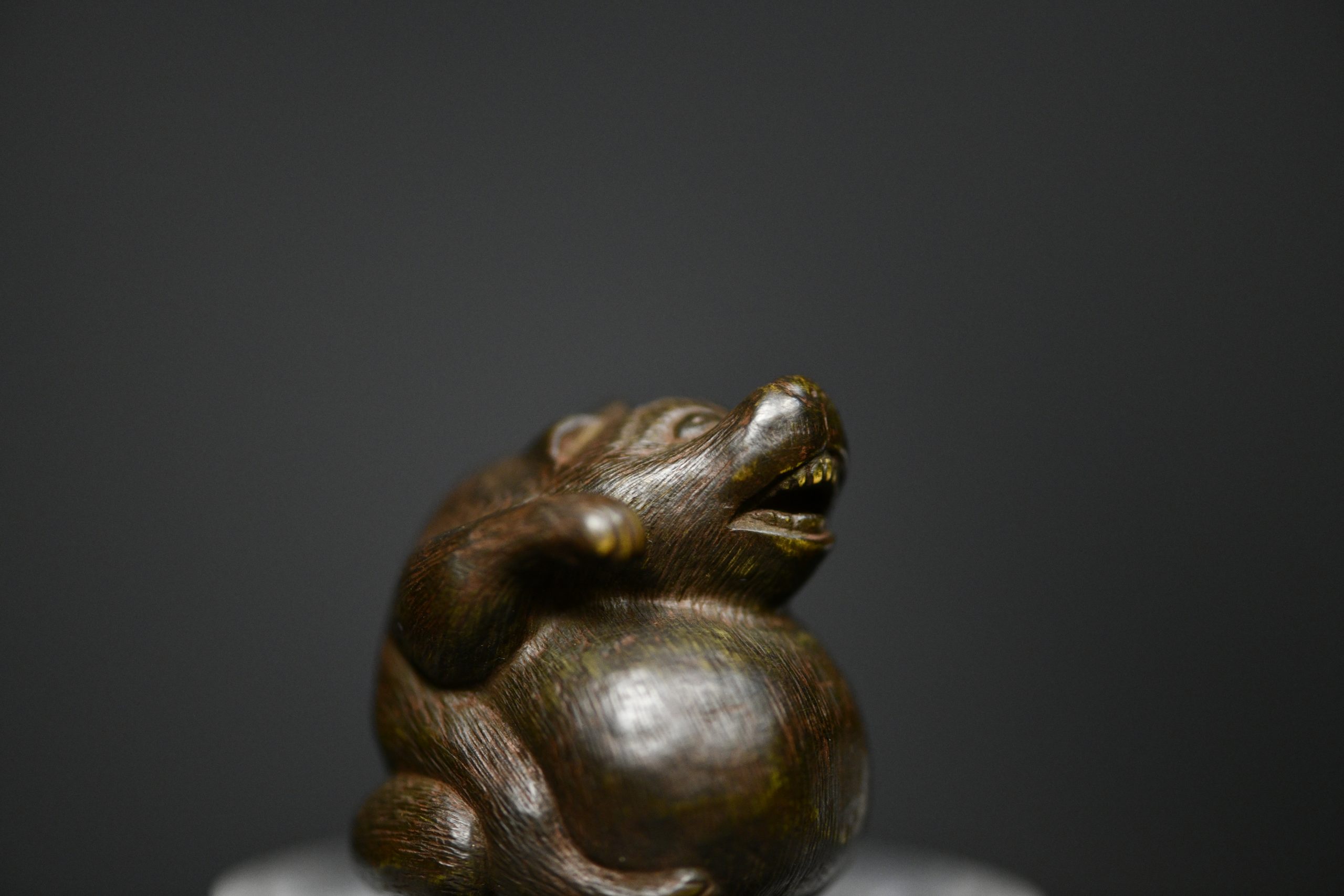 Tanuki netsuke wood