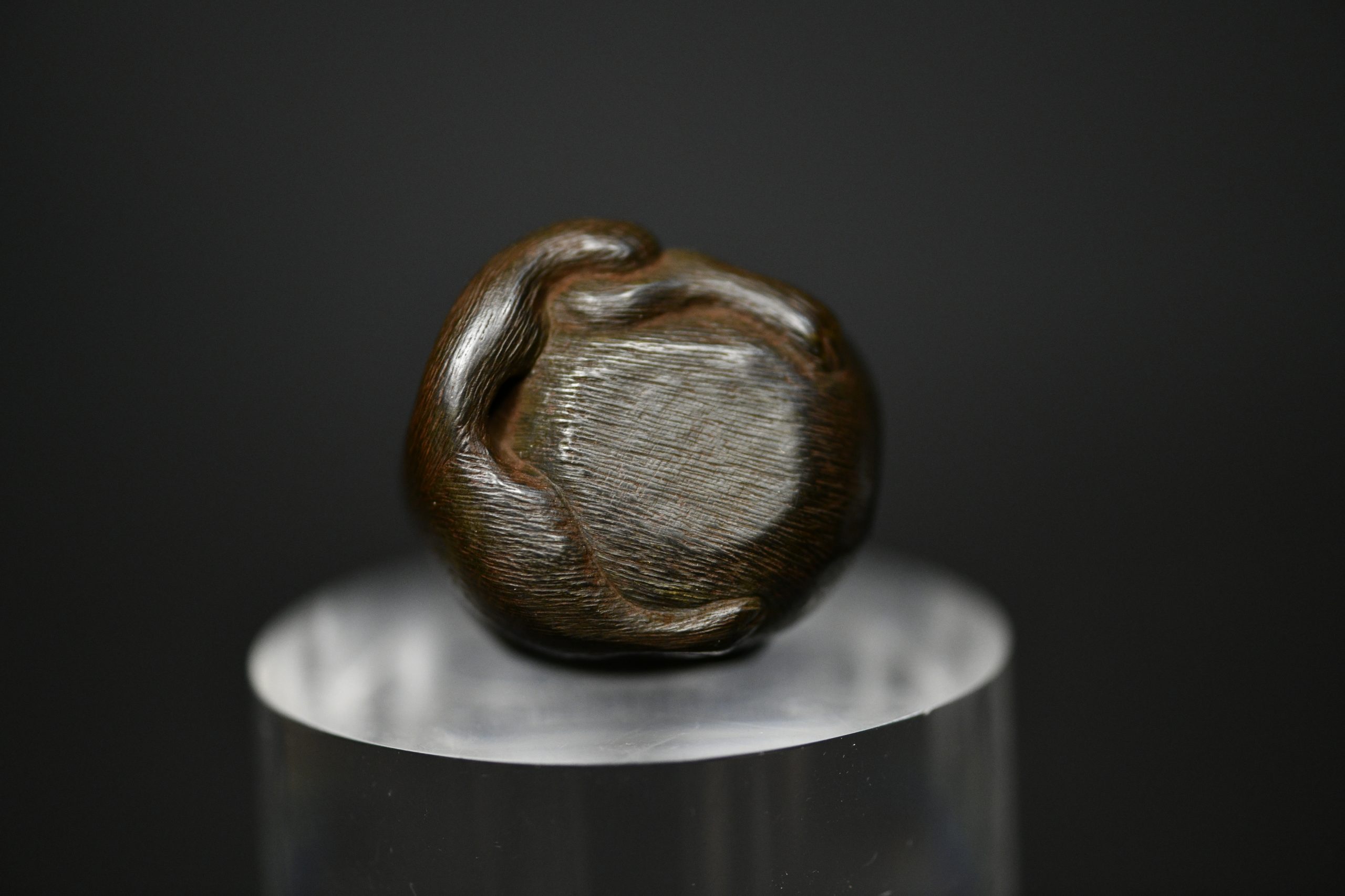 Tanuki netsuke wood