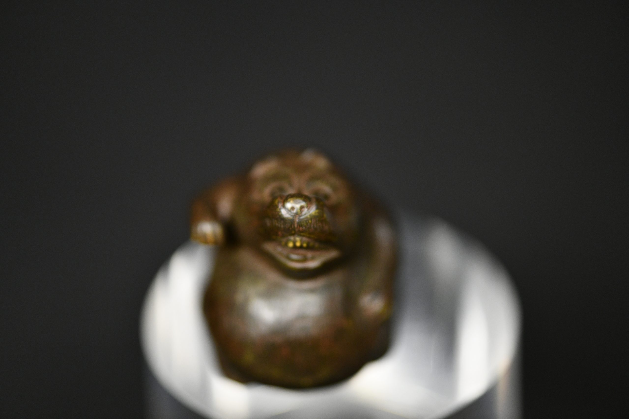 Tanuki netsuke wood