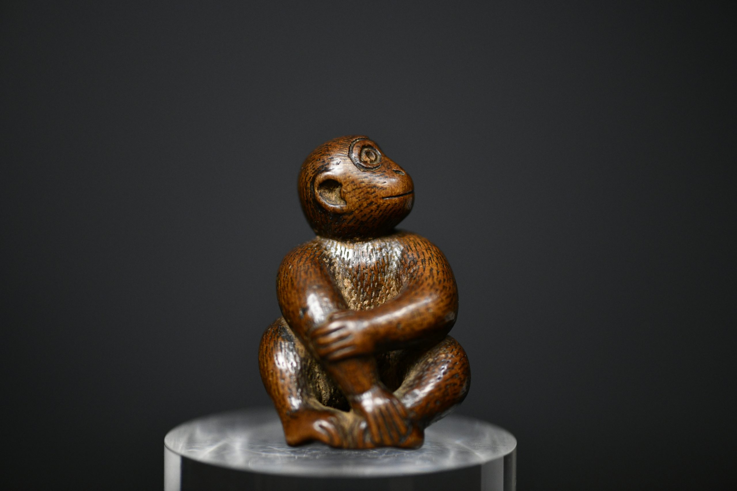 Monkey wood