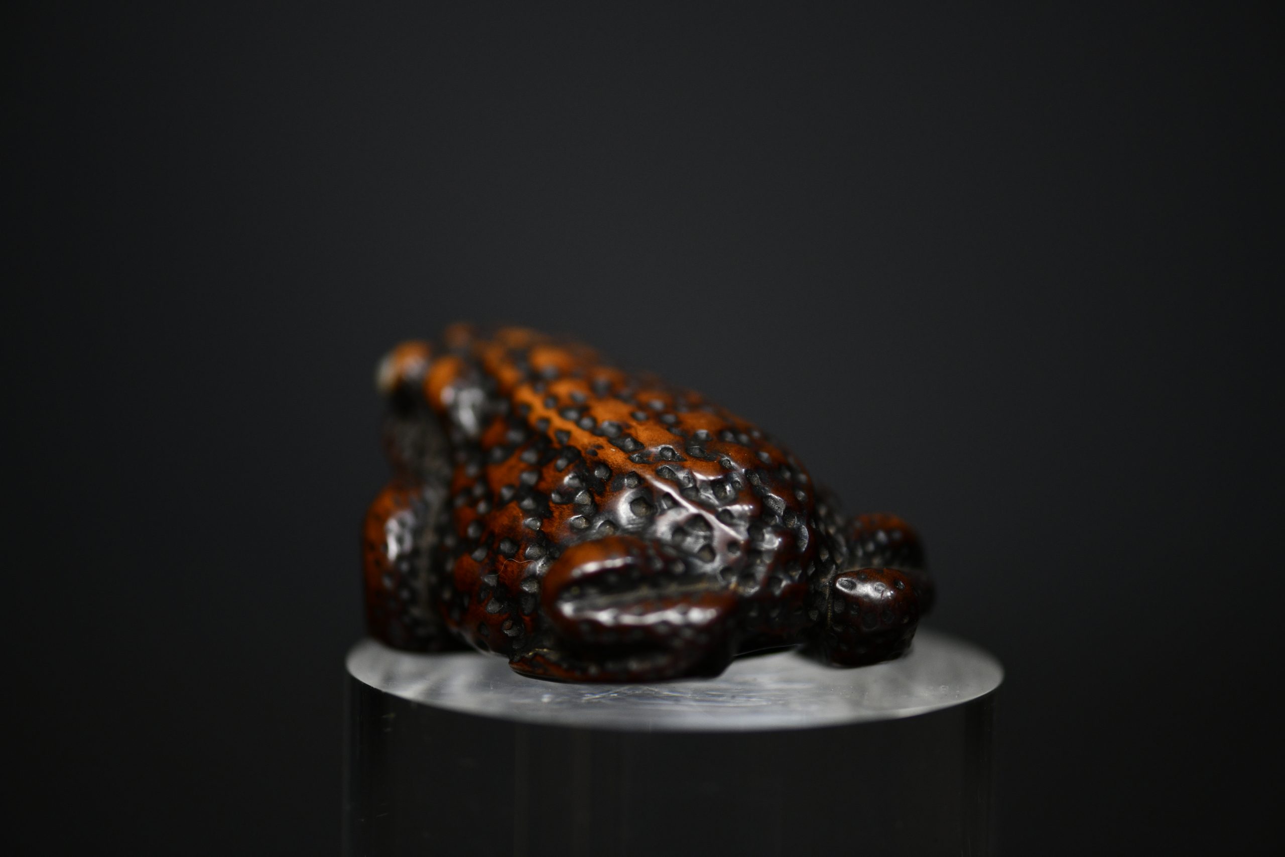 toad Shigetada wood