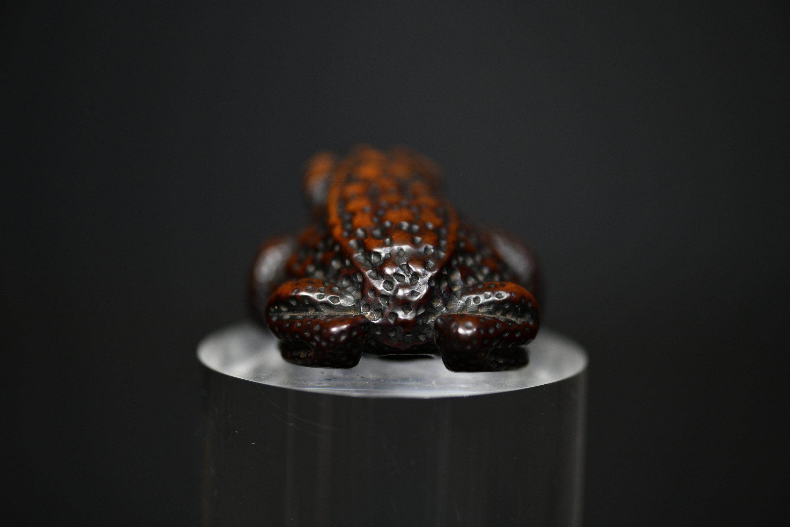 toad Shigetada wood