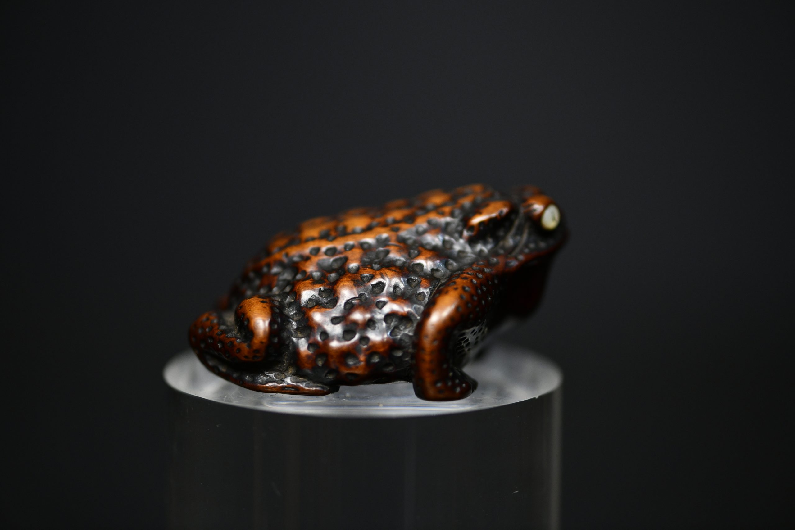 toad Shigetada wood