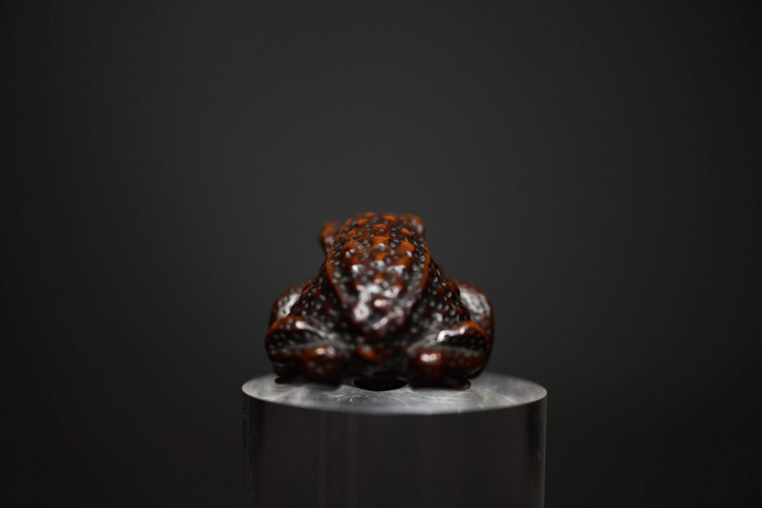 toad Shigetada wood II