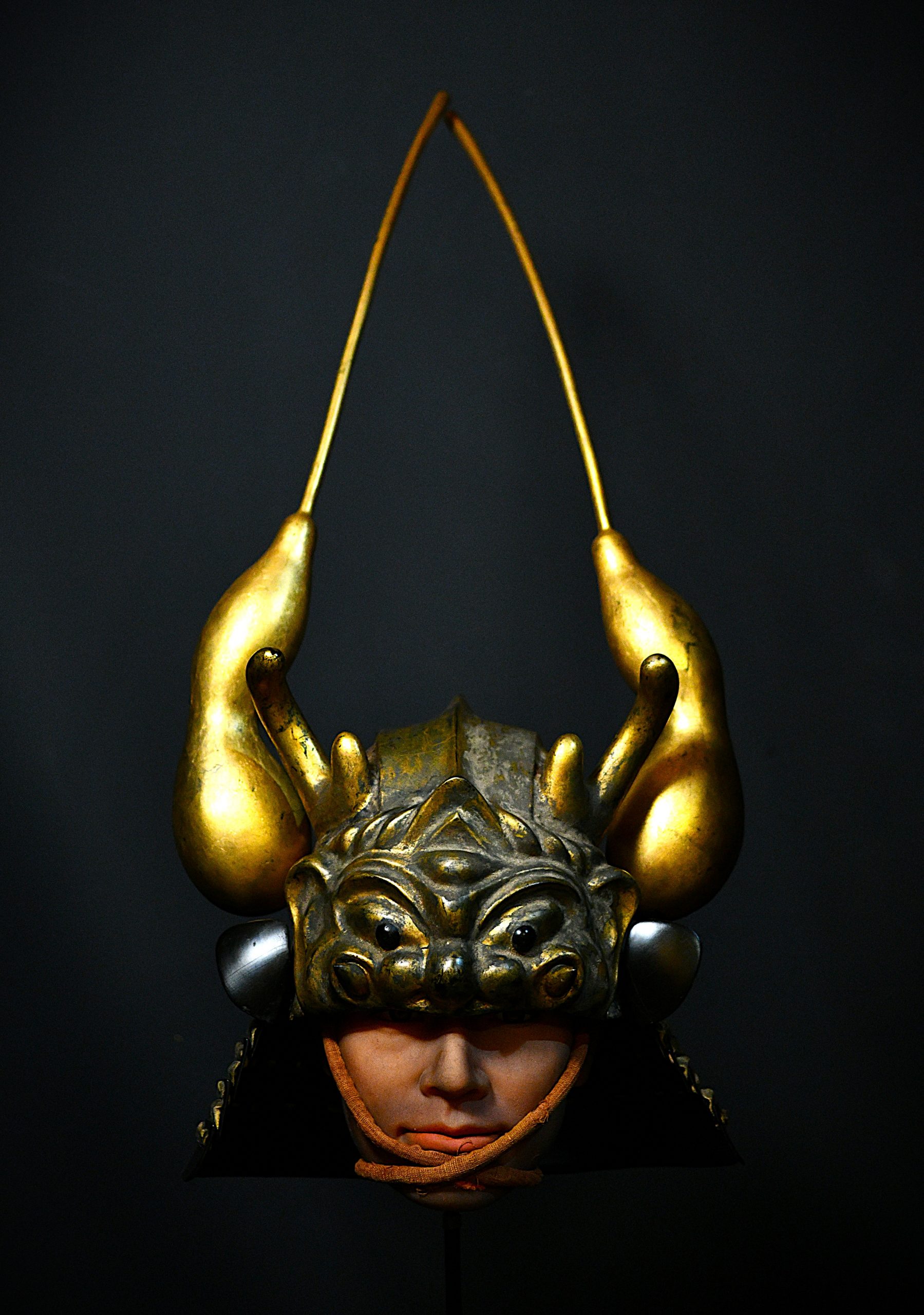 kabuto a vendre
