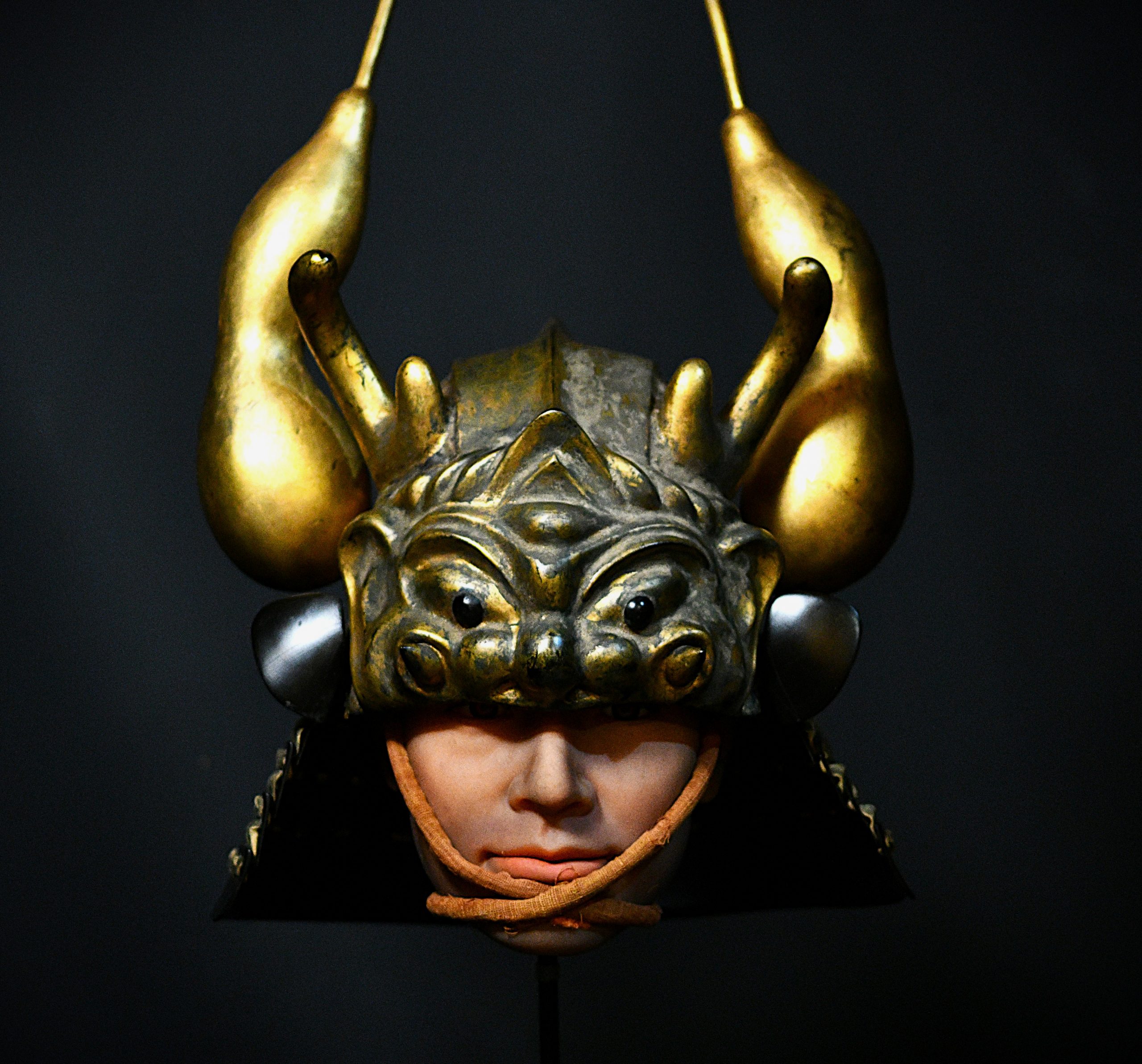 kabuto a vendre