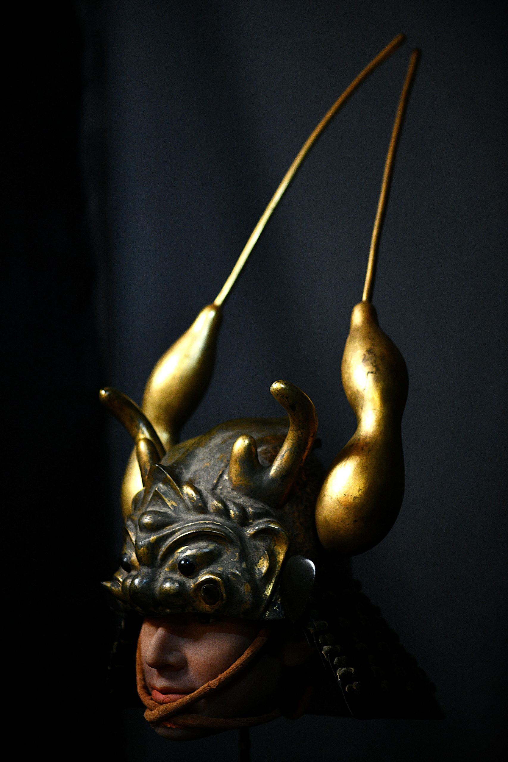 kabuto a vendre