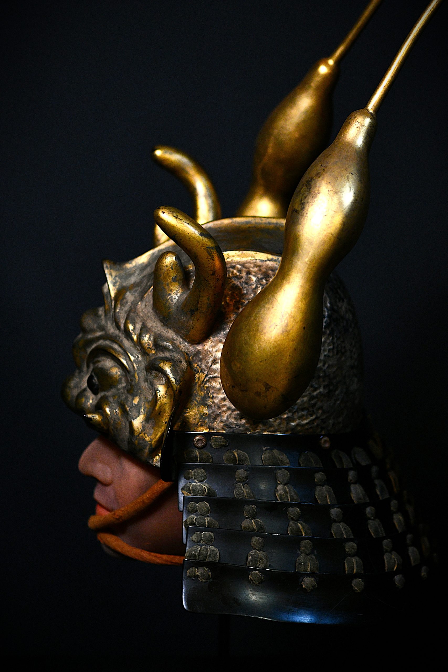 kabuto a vendre