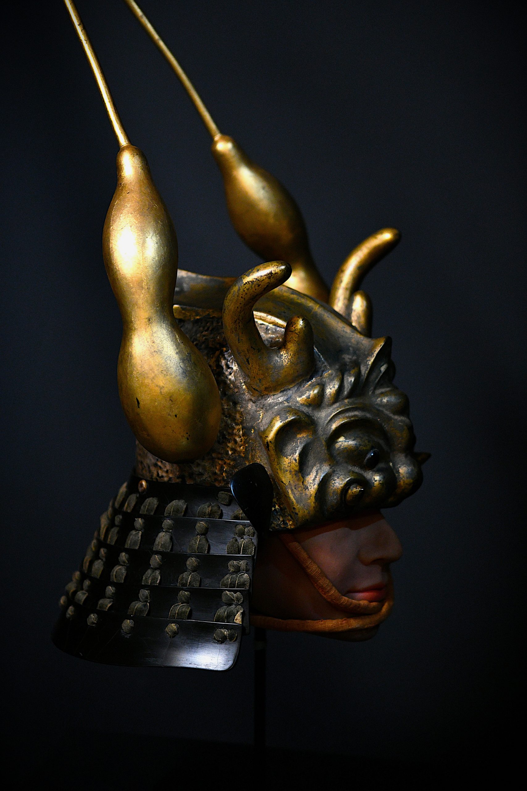 kabuto a vendre