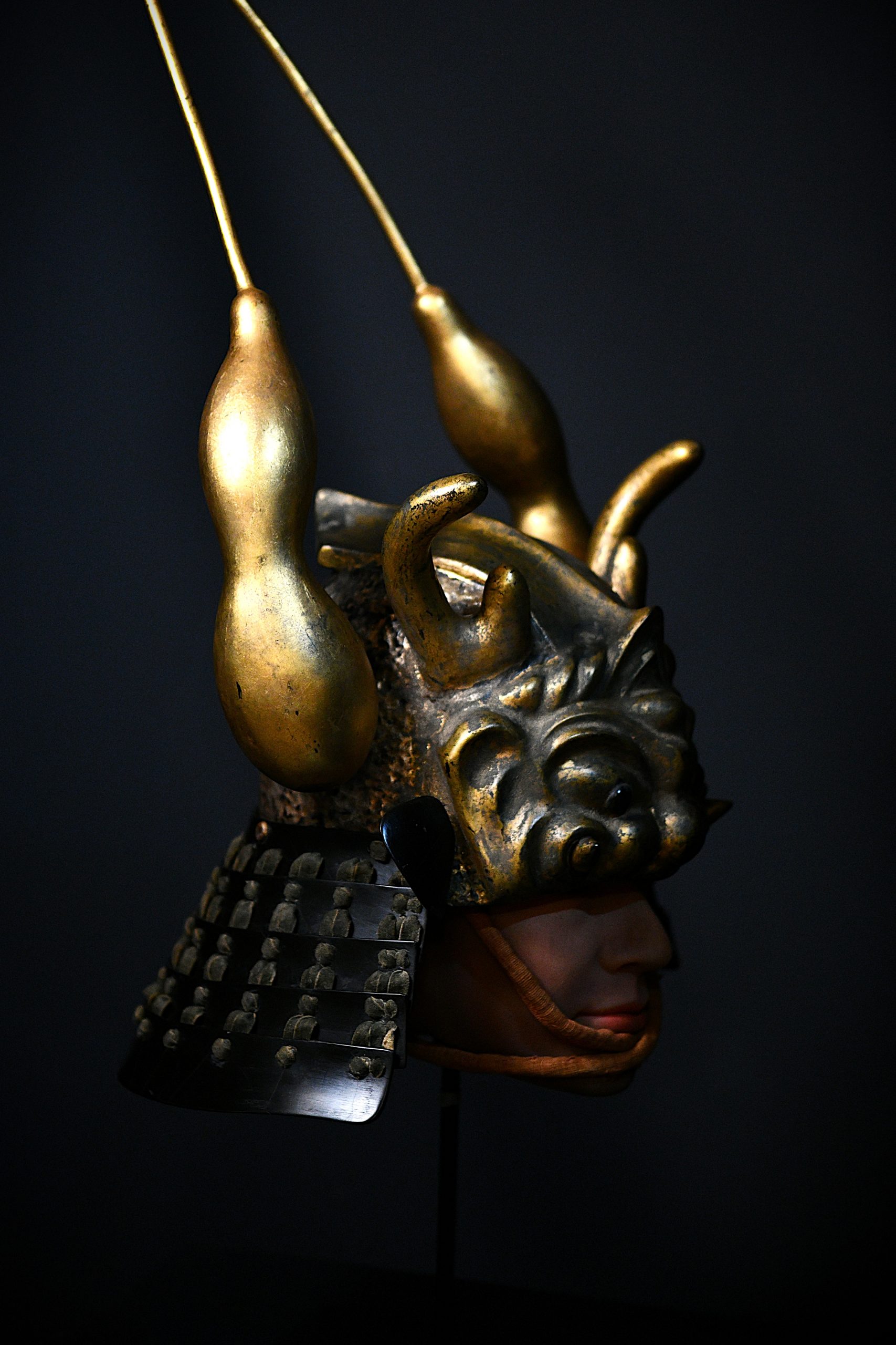 kabuto a vendre
