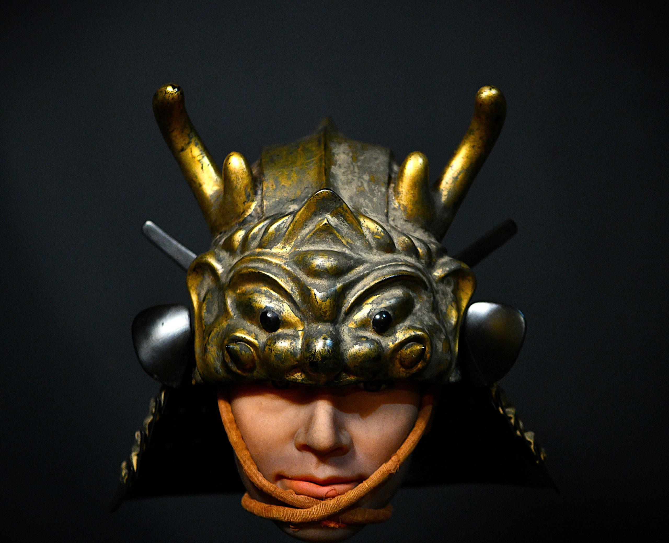 kabuto a vendre