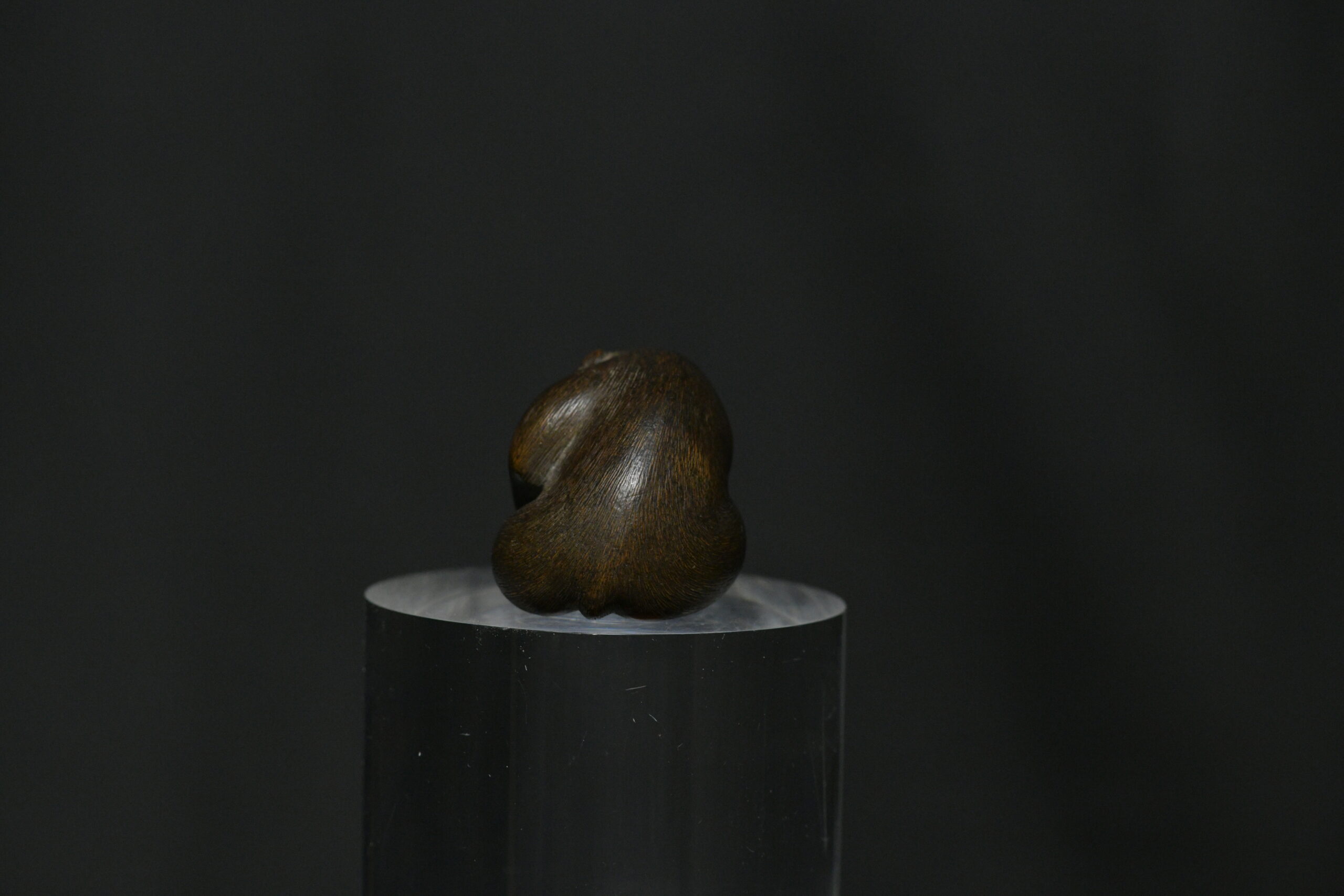 Netsuke monkey wood shibayama