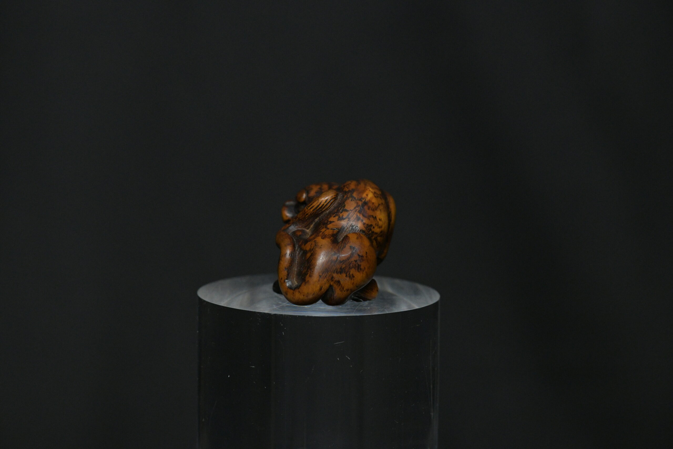 Netsuke tiger wood