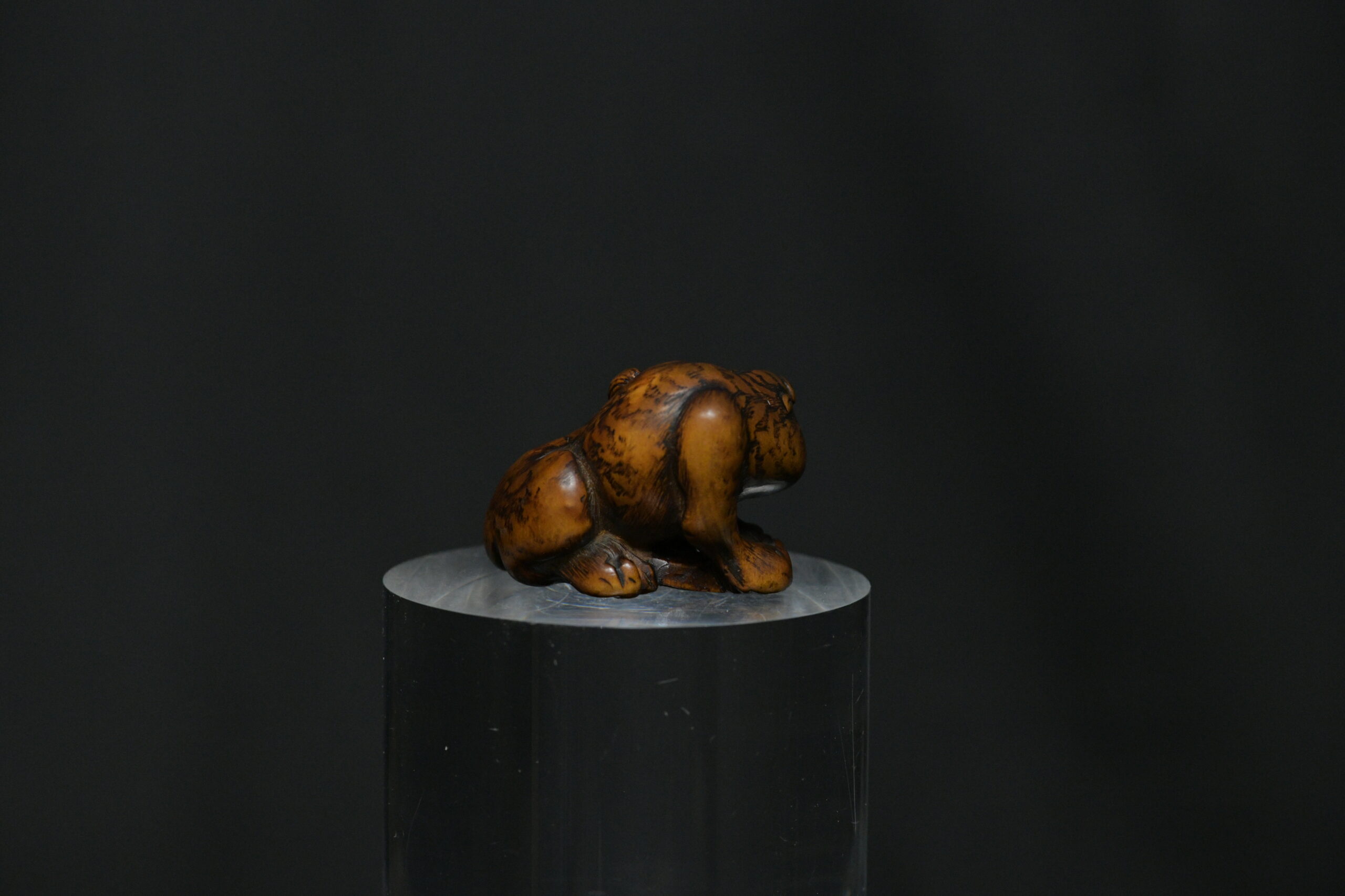 Netsuke tiger wood