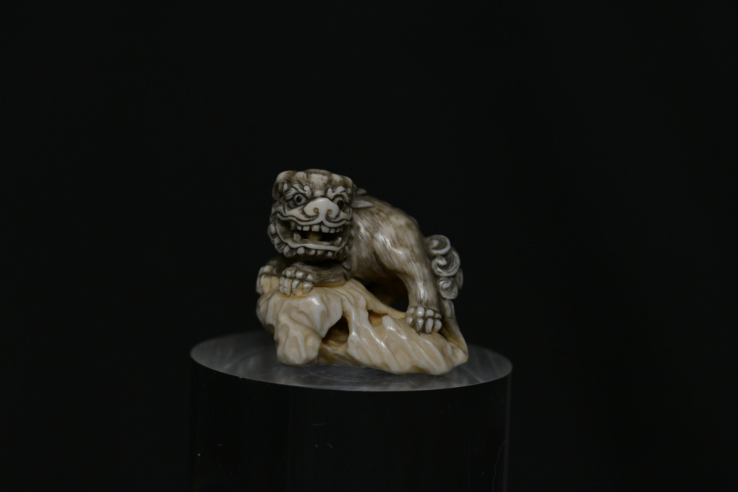 Netsuke Shishi ivory