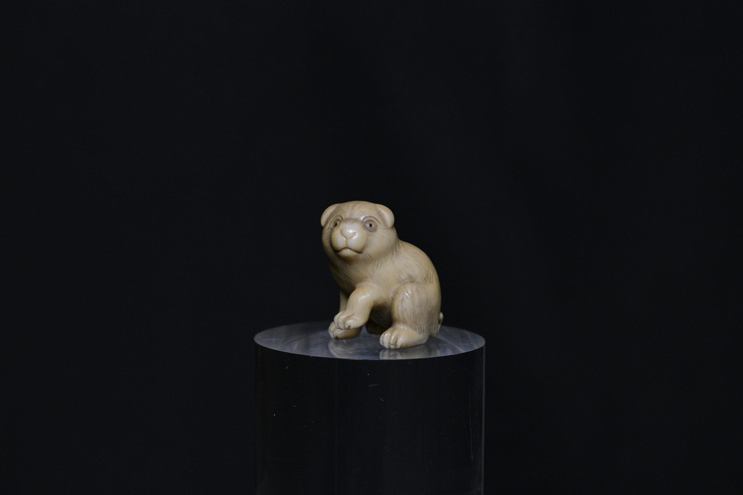 netsuke puppy dog ivory
