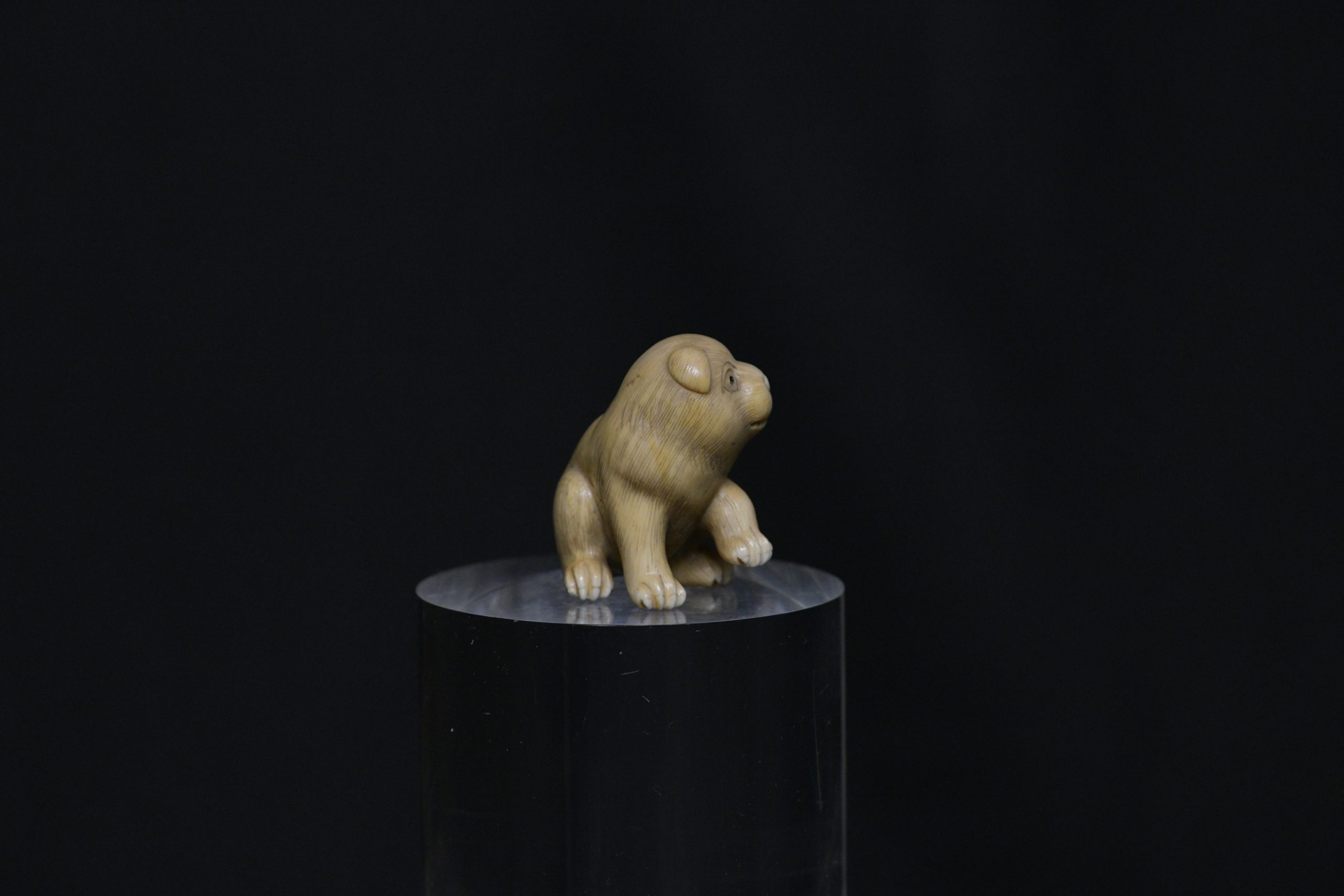 netsuke puppy dog ivory