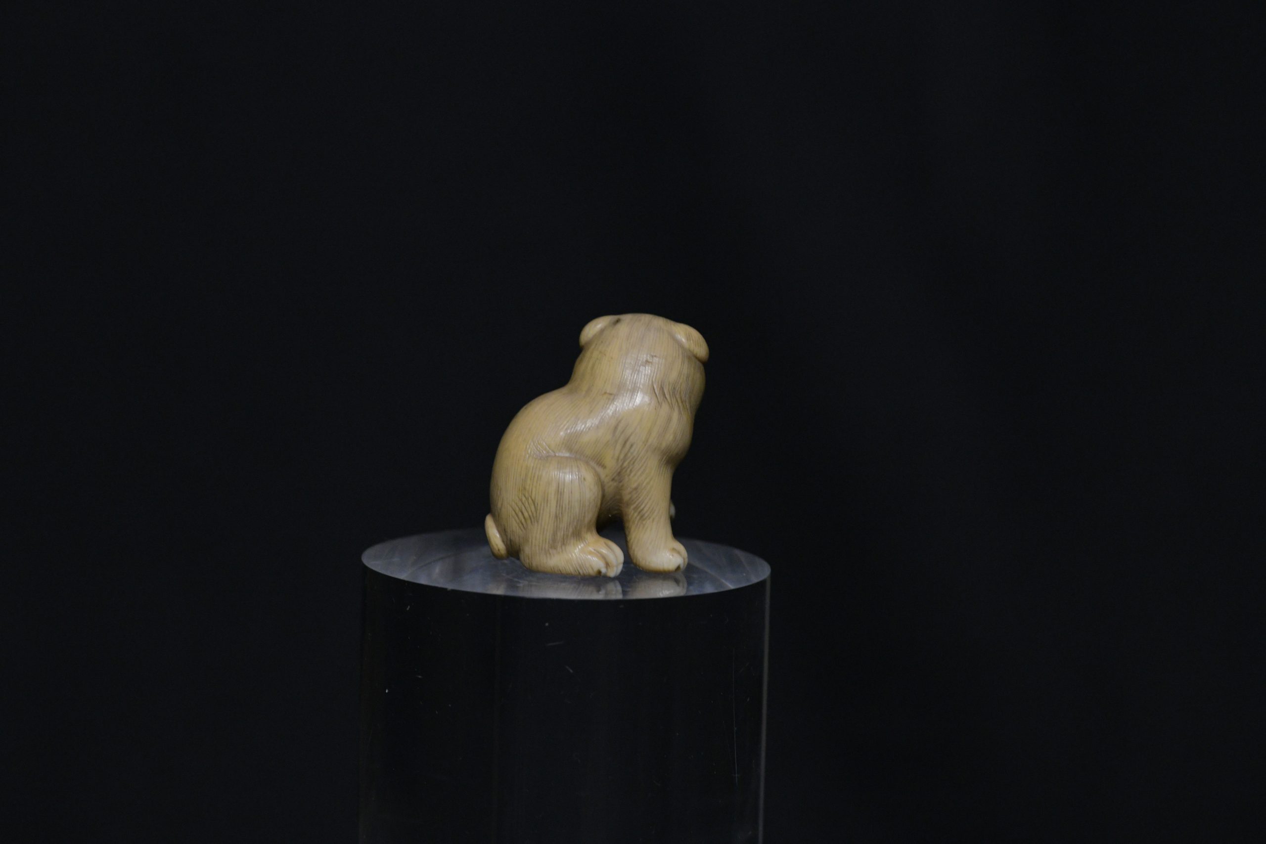 netsuke puppy dog ivory
