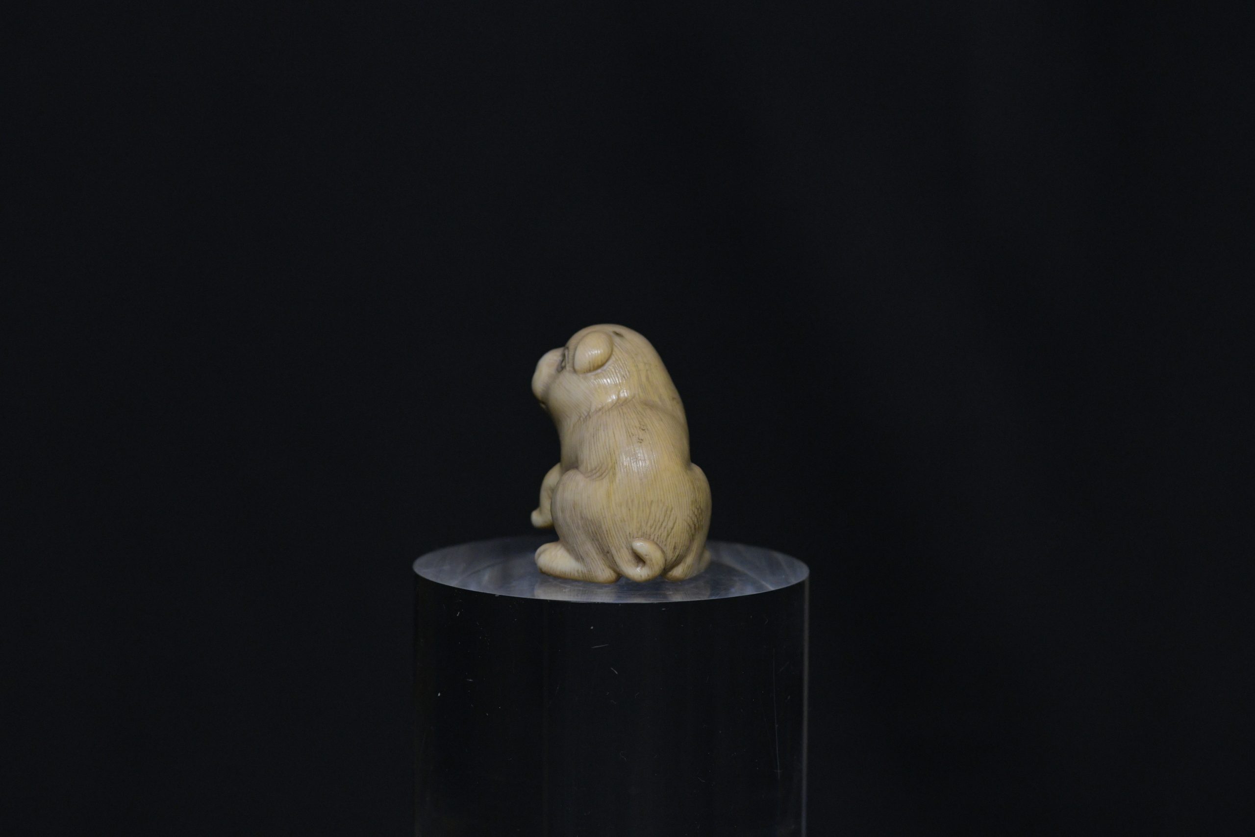 netsuke puppy dog ivory