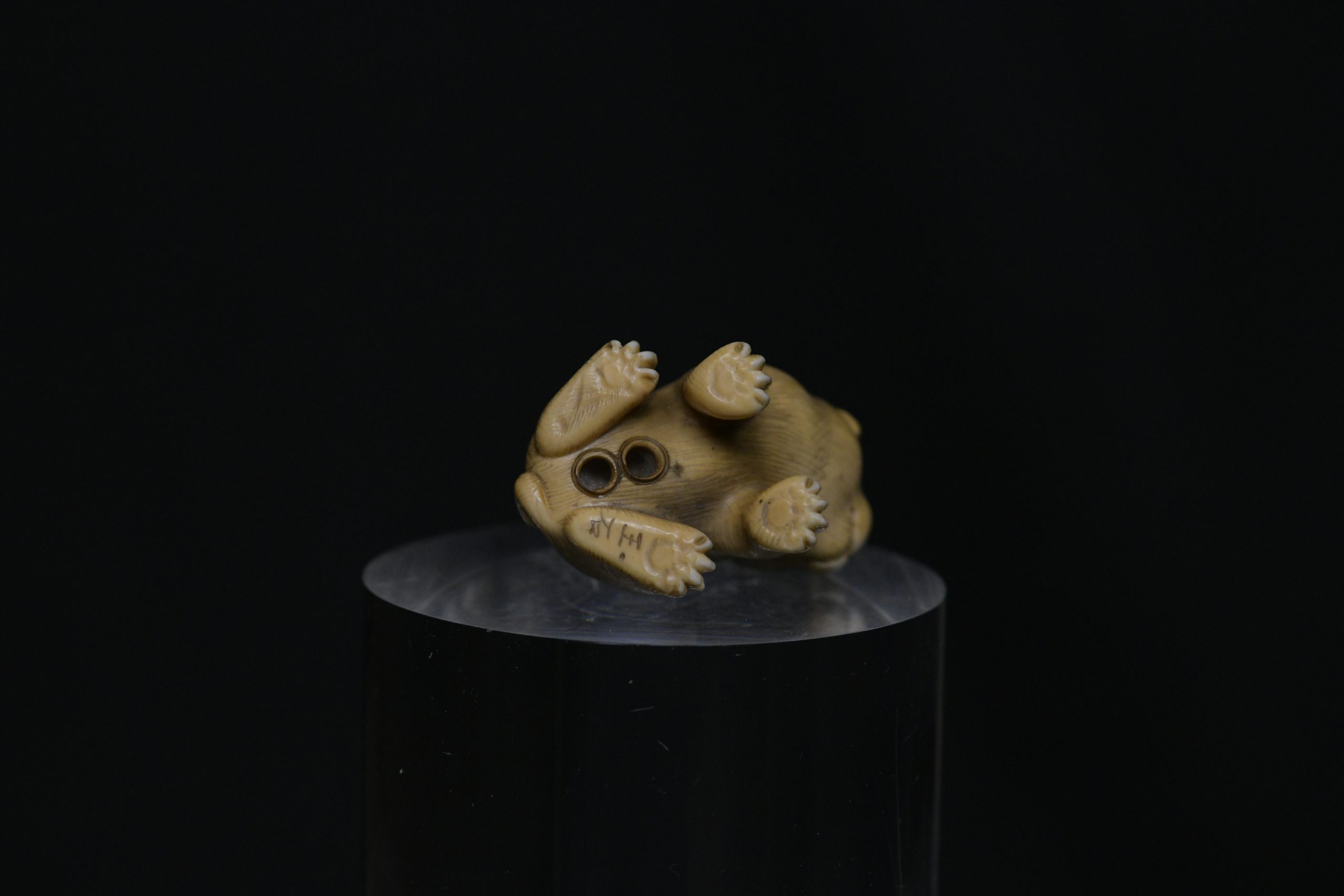 netsuke puppy dog ivory