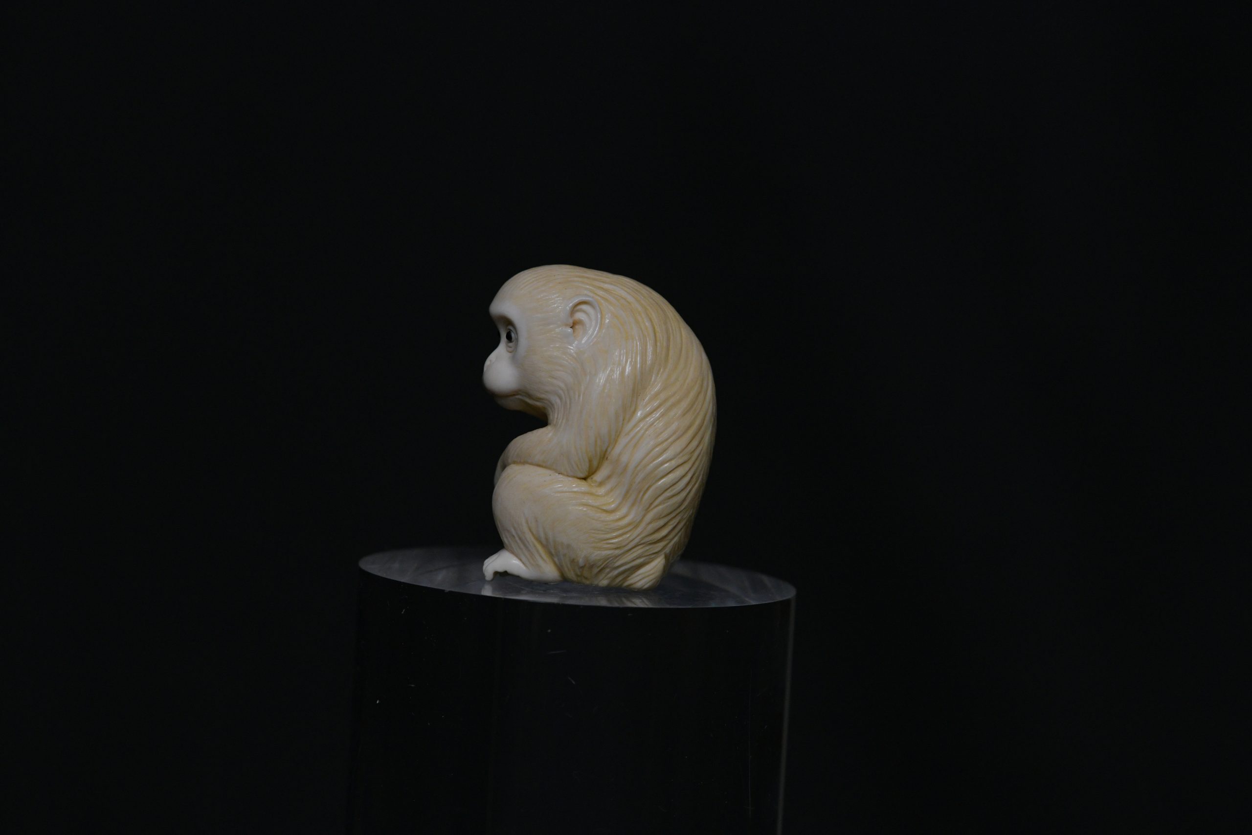 Netsuke monkey ivory