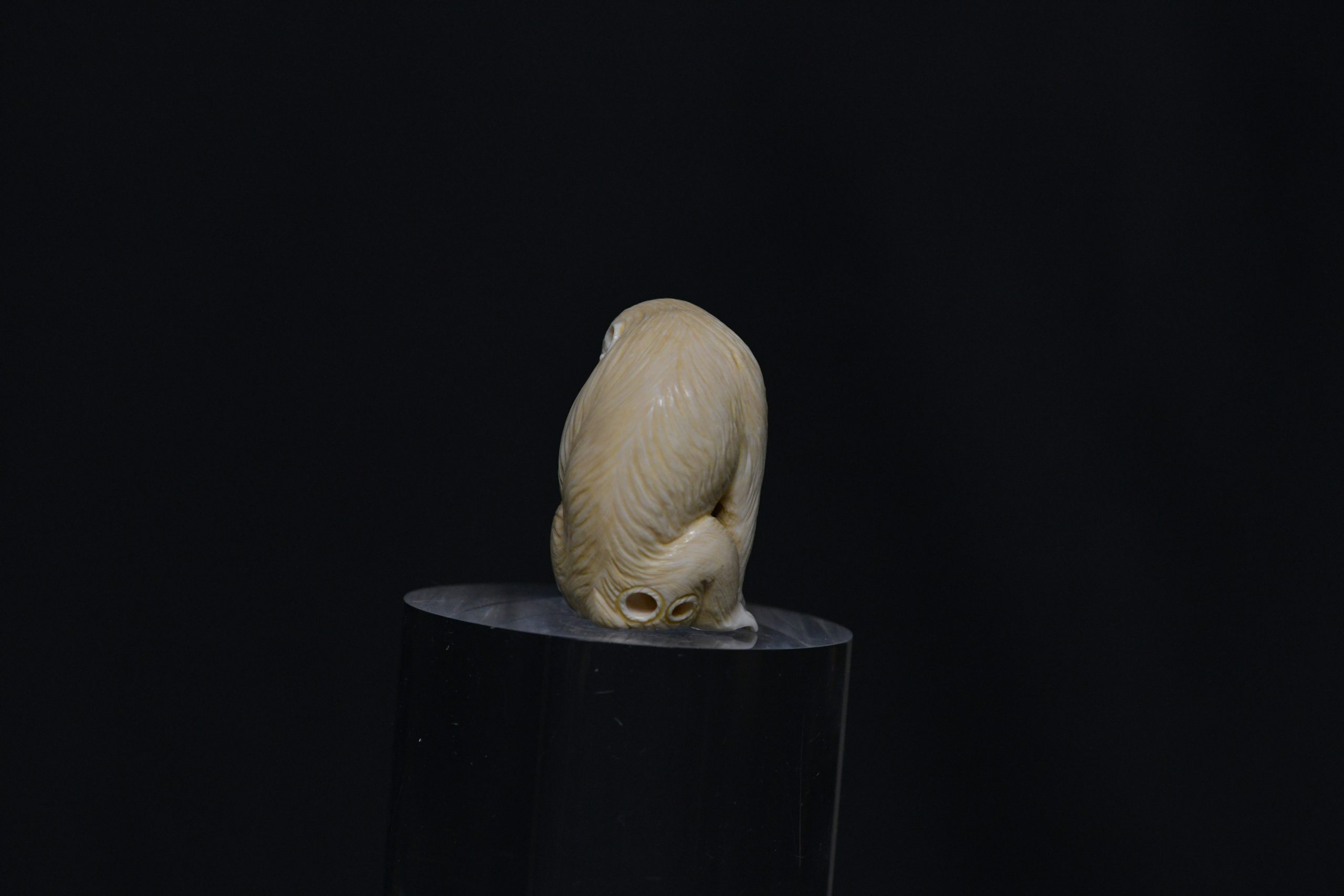 Netsuke monkey ivory