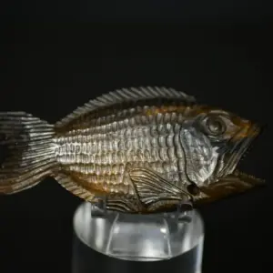 Netsuke vis van hout
