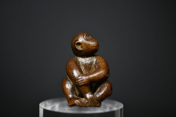 Monkey wood