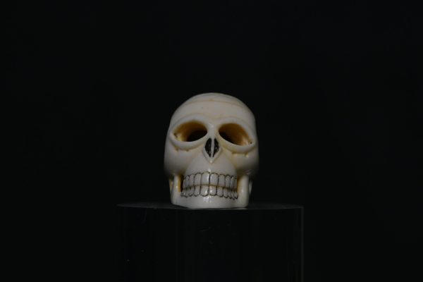Netsuke Skull ivory